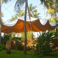 Open Shala