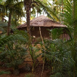 Bamboo Shala
