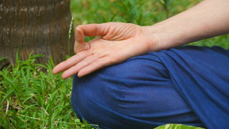 Holistic Yoga Packages