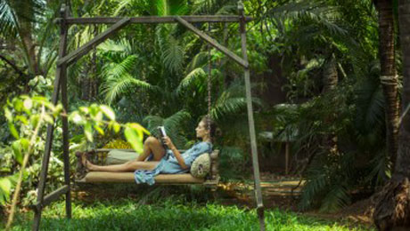 Yoga Holidays