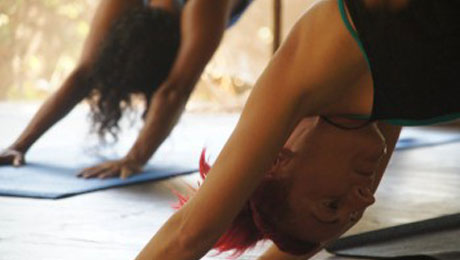 Yoga Teacher Trainings